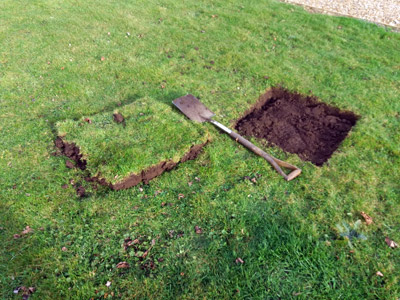 cutting turf to plant a tree